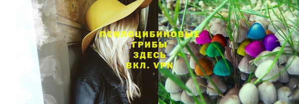 не бодяженный Дмитровск