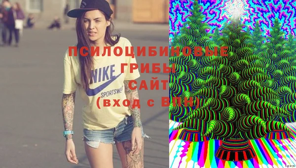 мдма Дмитриев