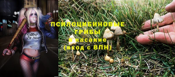 ешки Дмитров
