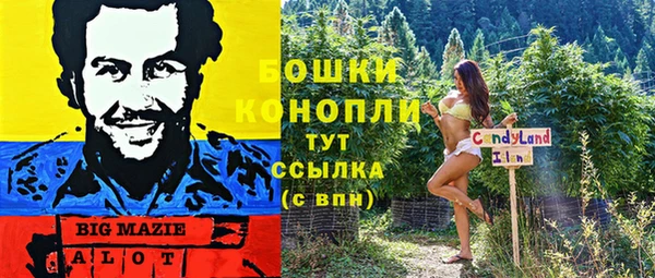 не бодяженный Дмитровск