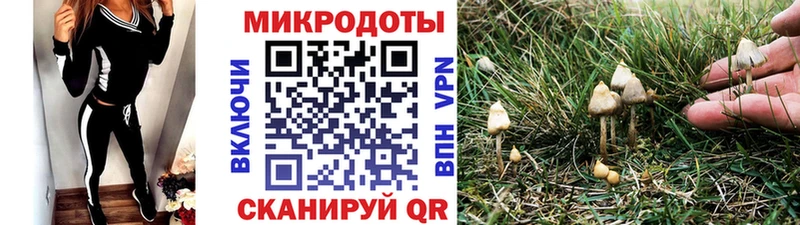 Псилоцибиновые грибы ЛСД  Купить где  Кировград 